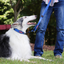 Ezydog 62254 Leas Vario 4 25Mm 6" Black (15,25Cm)Snapclıp