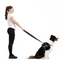 Ezydog 62254 Leas Vario 4 25Mm 6" Black (15,25Cm)Snapclıp
