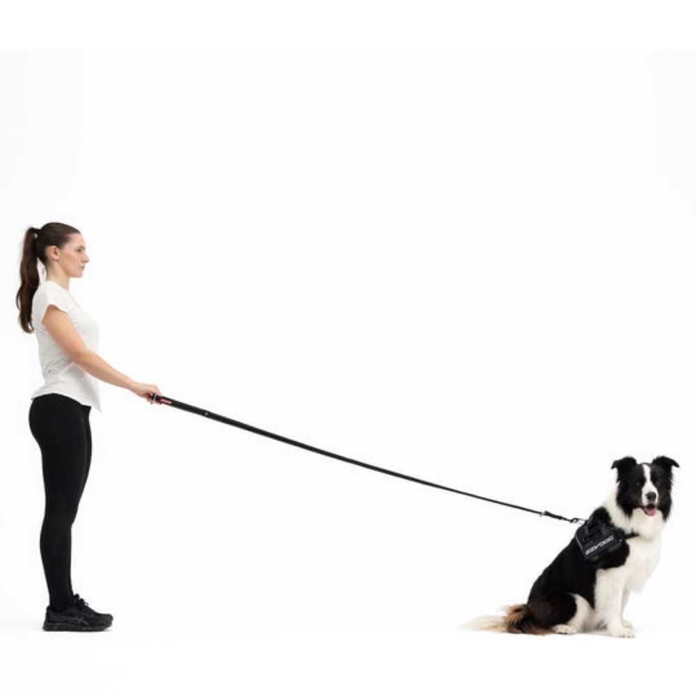 Ezydog 63251 Leas Vario 4 25Mm 6" Candy (15,25Cm)Snapclıp