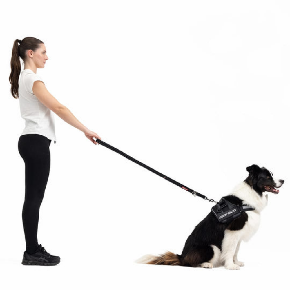 Ezydog 63251 Leas Vario 4 25Mm 6" Candy (15,25Cm)Snapclıp