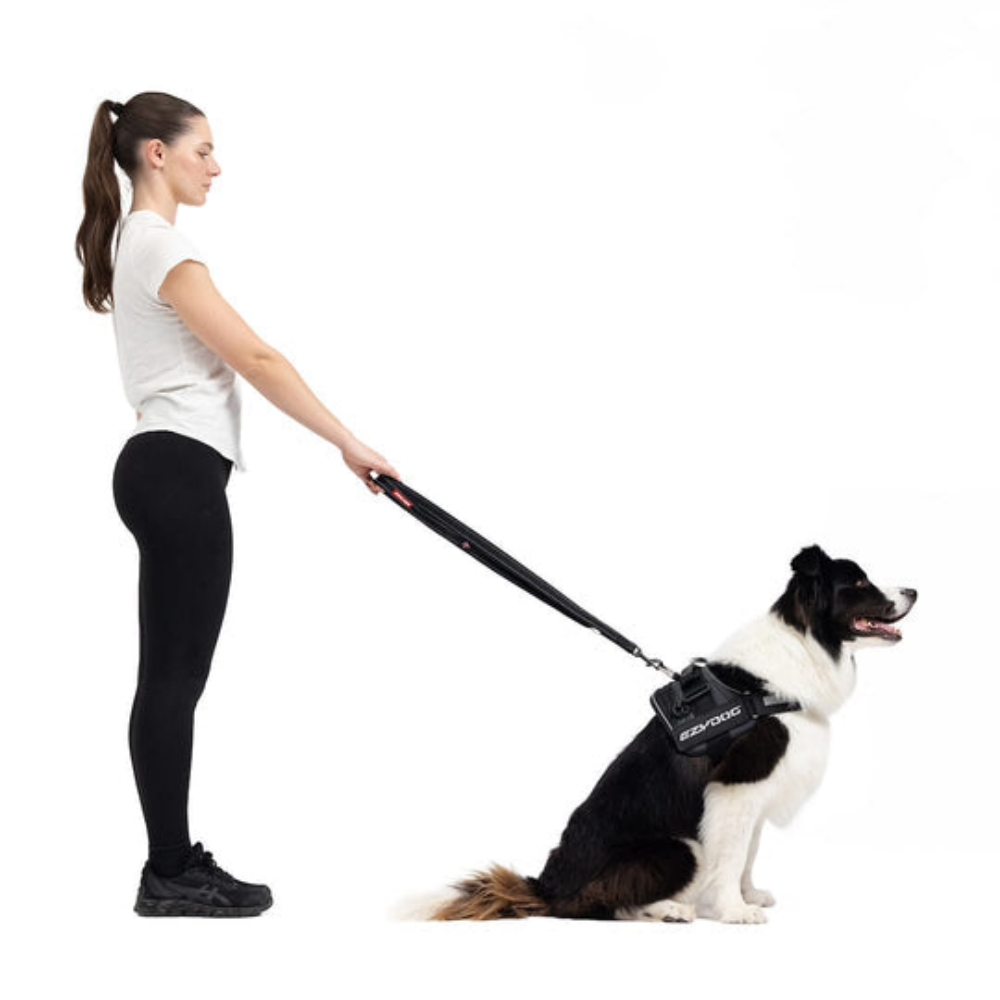 Ezydog 63251 Leas Vario 4 25Mm 6" Candy (15,25Cm)Snapclıp