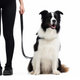 Ezydog Ezydog Leashes Vario 4 Pınk Camo