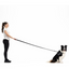 Ezydog 03082 Leas Vario 4 25Mm 6" Purple(180 Cm)Snap Clıp