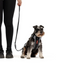 Ezydog 46124 Leash Vario6 Lite 12Mm 8" S Orange (20,5Cm)