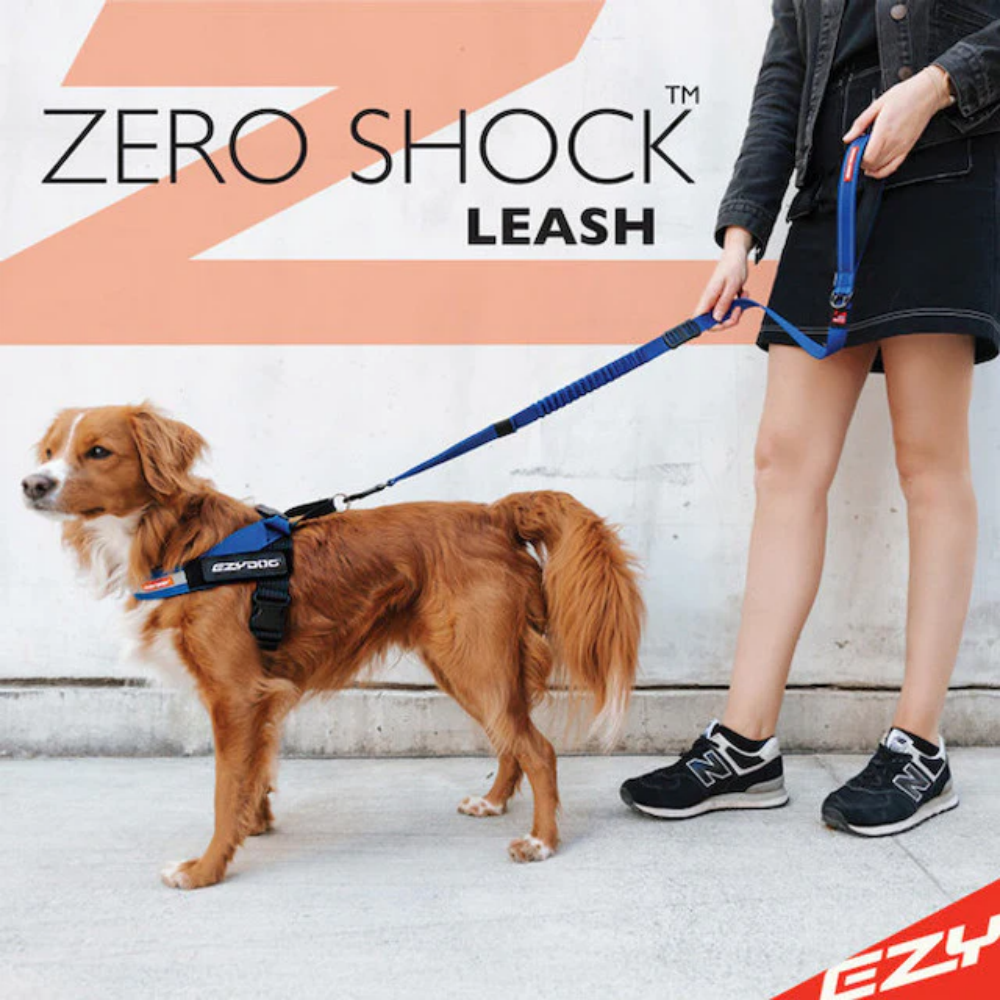 Ezydog Leash Zero Shock 25" Blue 64cm