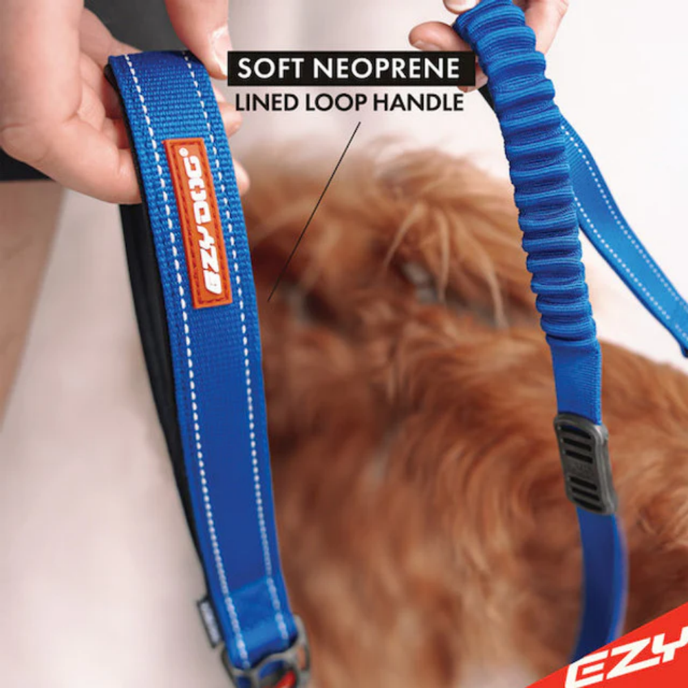 Ezydog Leash Zero Shock 25" Blue 64cm