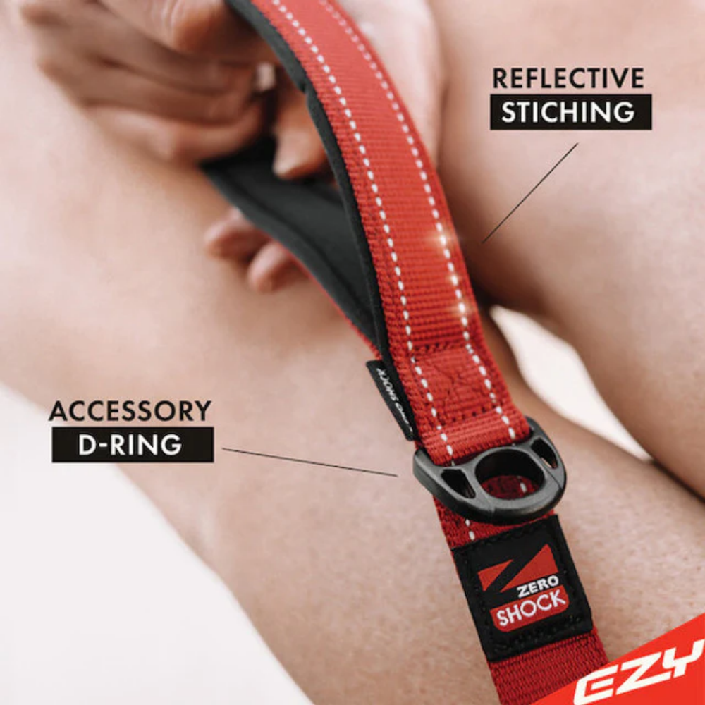 Ezydog Leash Zero Shock 25" Blue 64cm