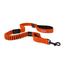 Ezydog Leash Zero Shock 25" Orange (63.5Cm)