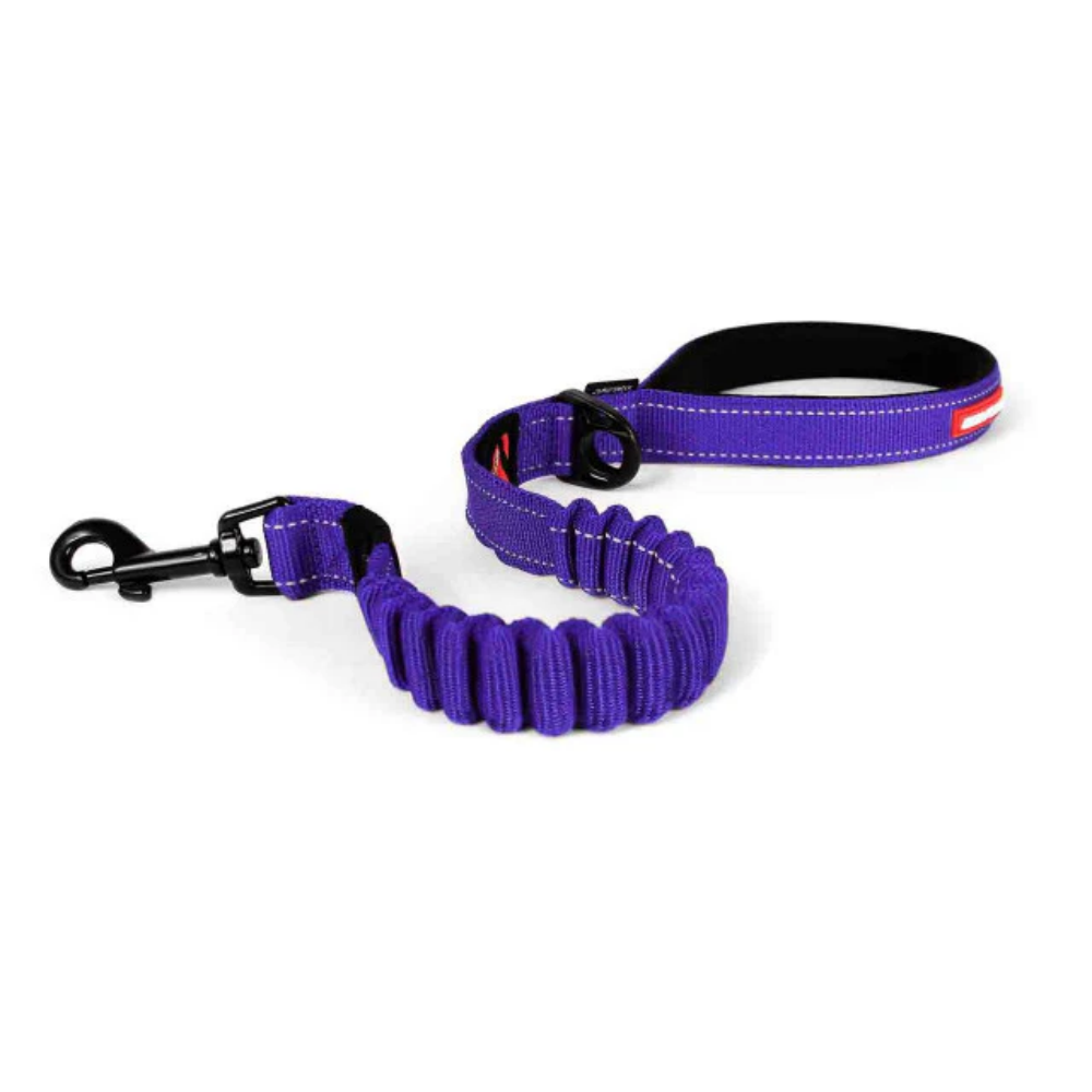 Ezydog Leash Zero Shock 25" Purple 64cm