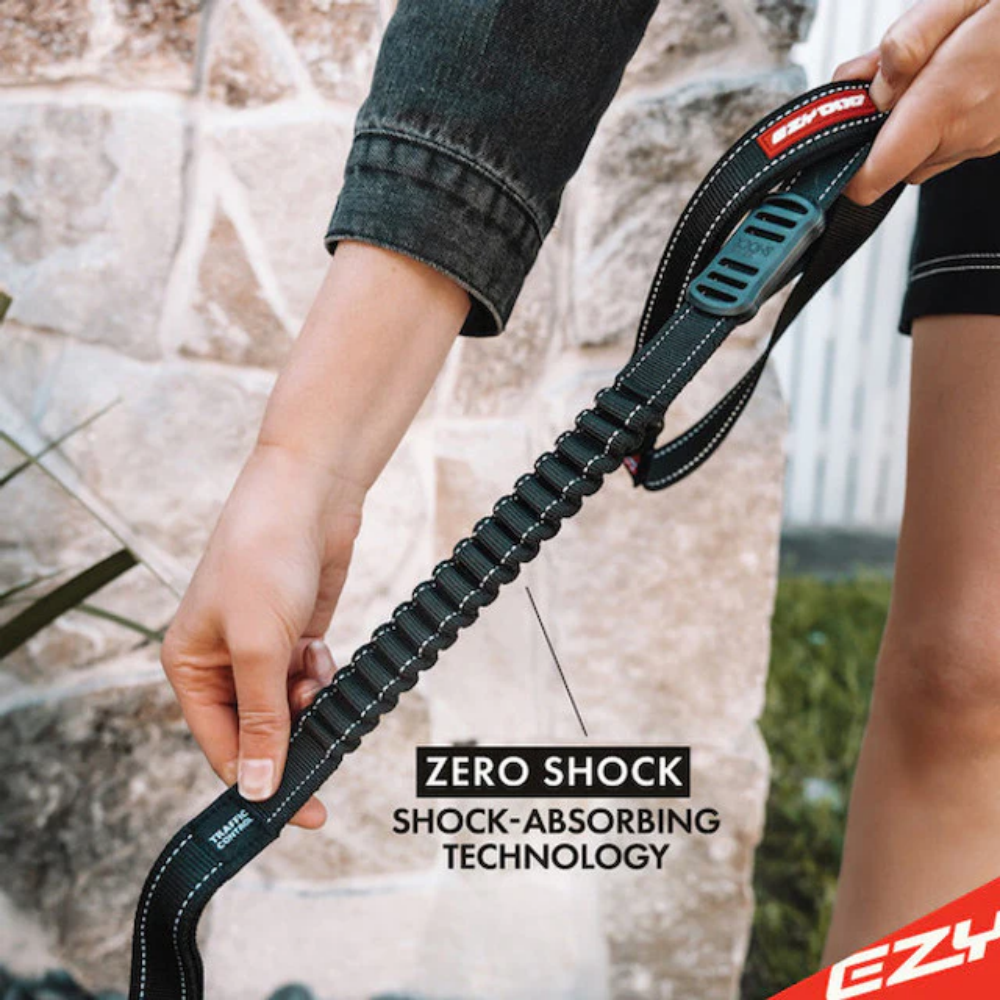 EzyDog LEASH ZERO SHOCK 48" BLACK (122CM) TRAFFICCN