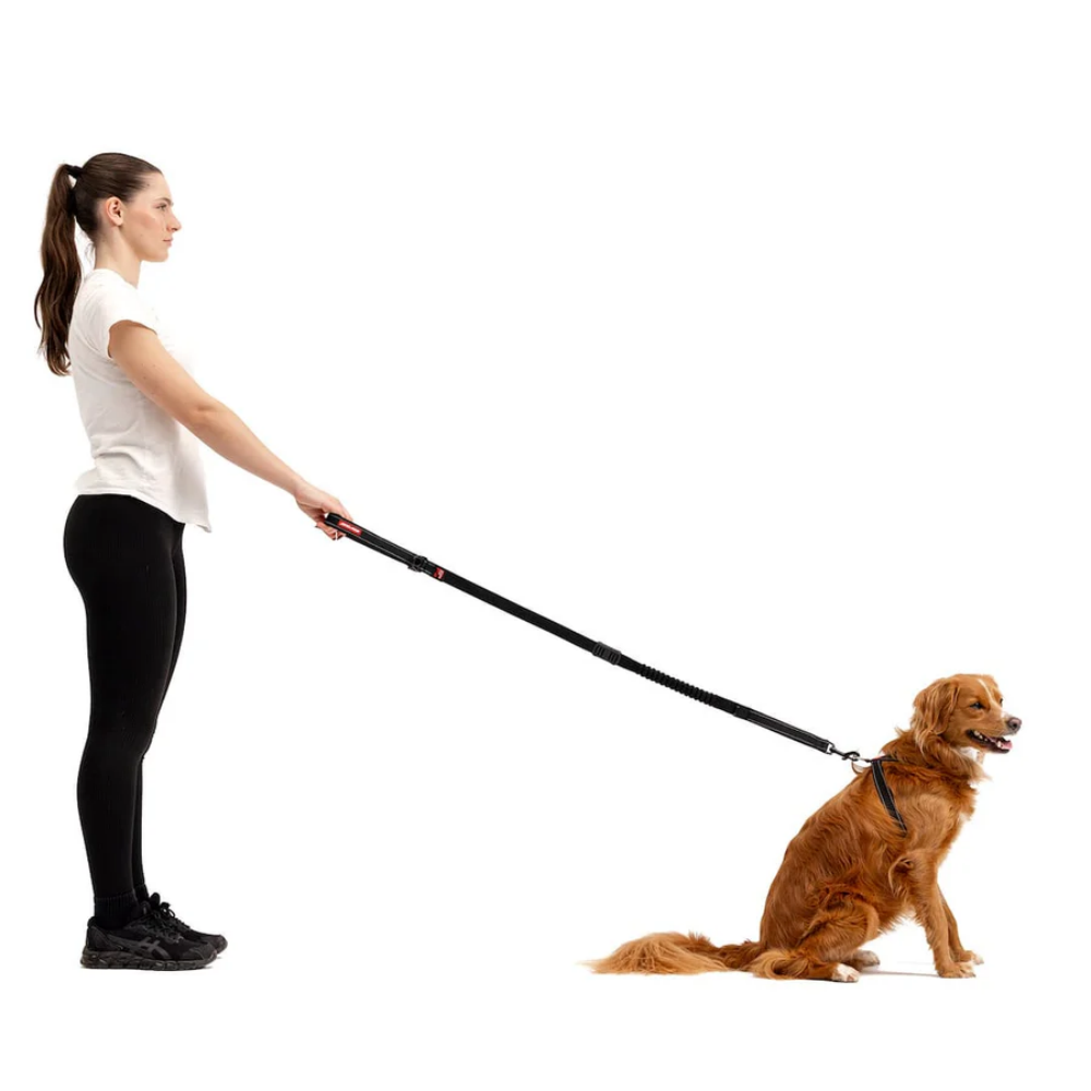Ezydog Leashes Z. Shock Candy 48'' Lite