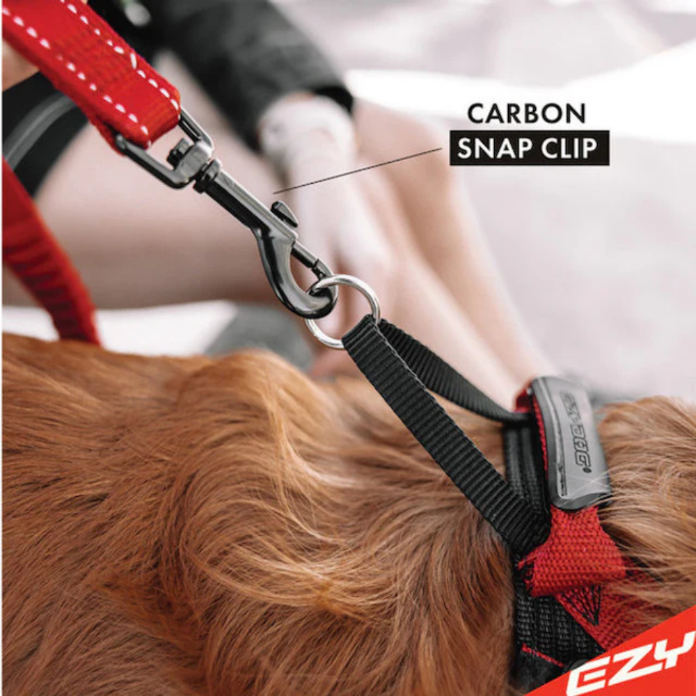 EzyDog Leash Zero Shock 48" Chocolate 122cm