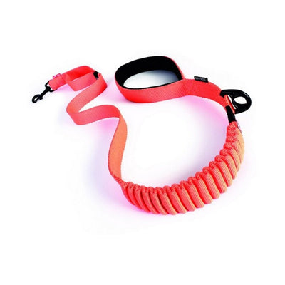 Ezydog Leash Zero Shock 48" Orange 122cm