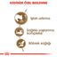 Royal Canin Ageing +12 2 Kg Yaşlı Kuru Kedi Maması