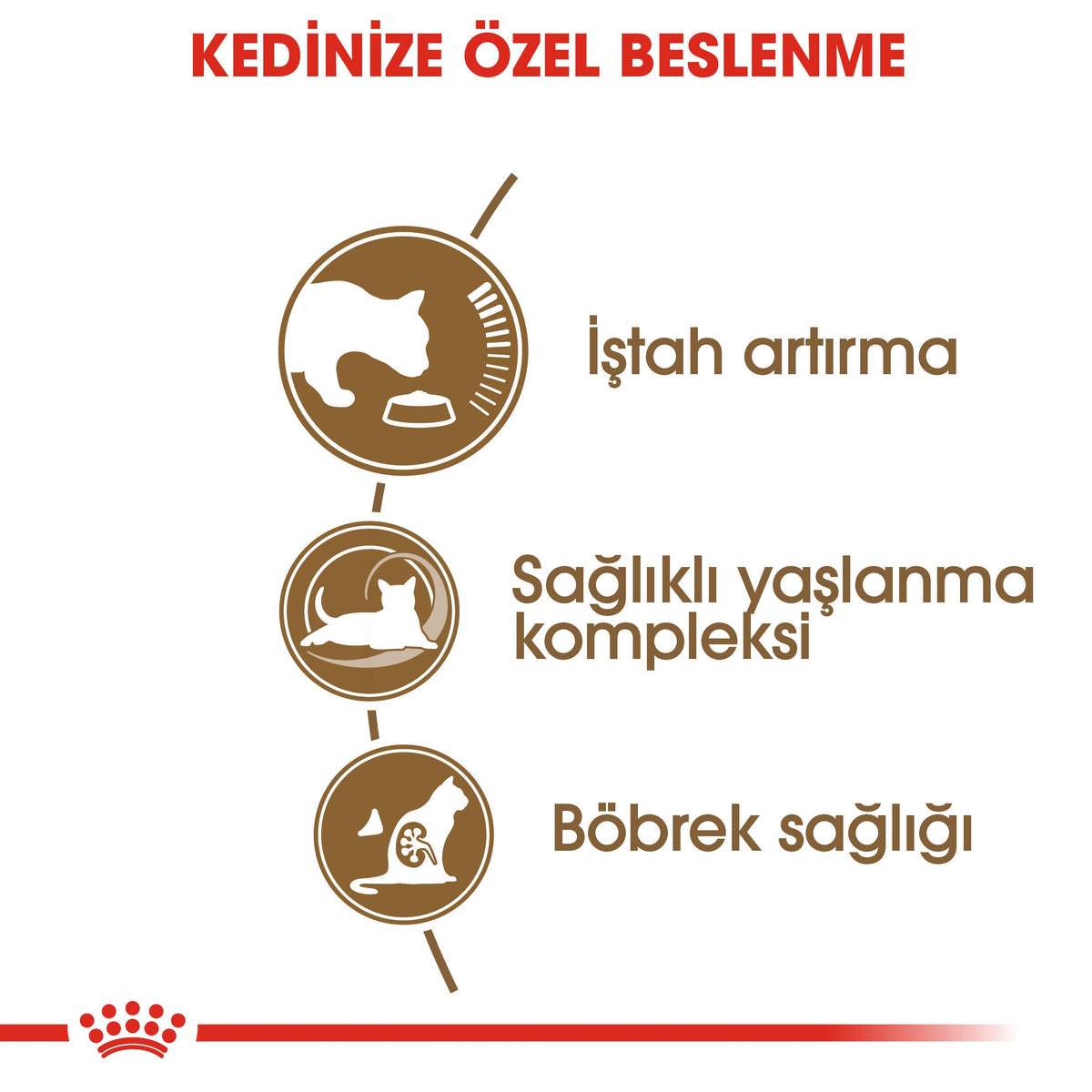 Royal Canin Ageing +12 2 Kg Yaşlı Kuru Kedi Maması