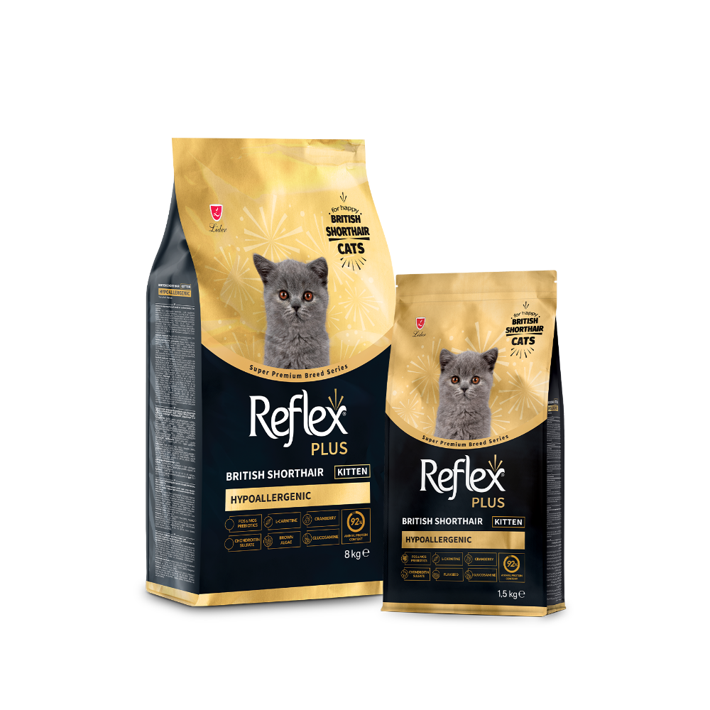 Reflex Plus British Shorthair Yavru Kedi Maması 1.5 Kg