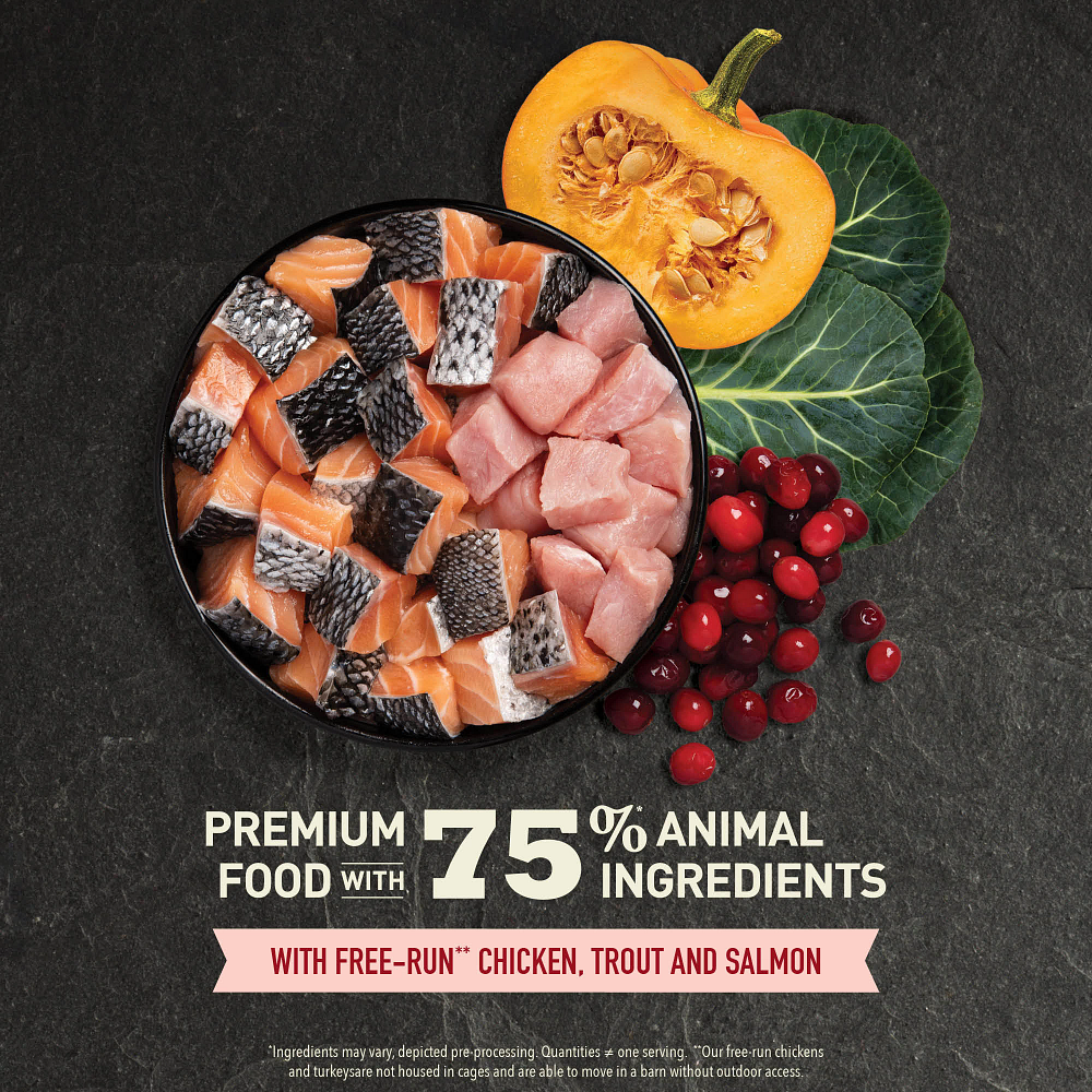 Acana Highest Protein (Yüksek Protein) Indoor Yetişkin Kedi Maması 1.8 Kg