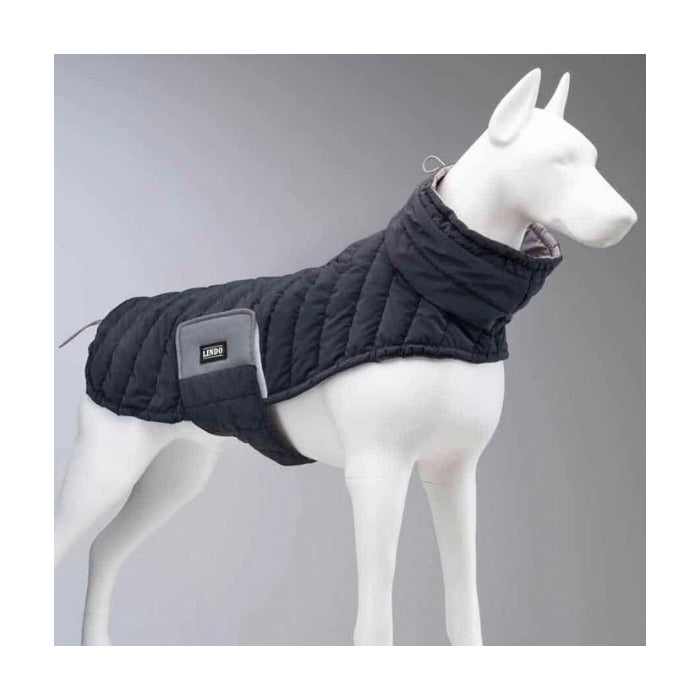 Lindo Air Puff Deep Köpek Montu Beden :4
