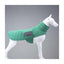 Lindo Air Puff Green Apple Köpek Montu Beden :2