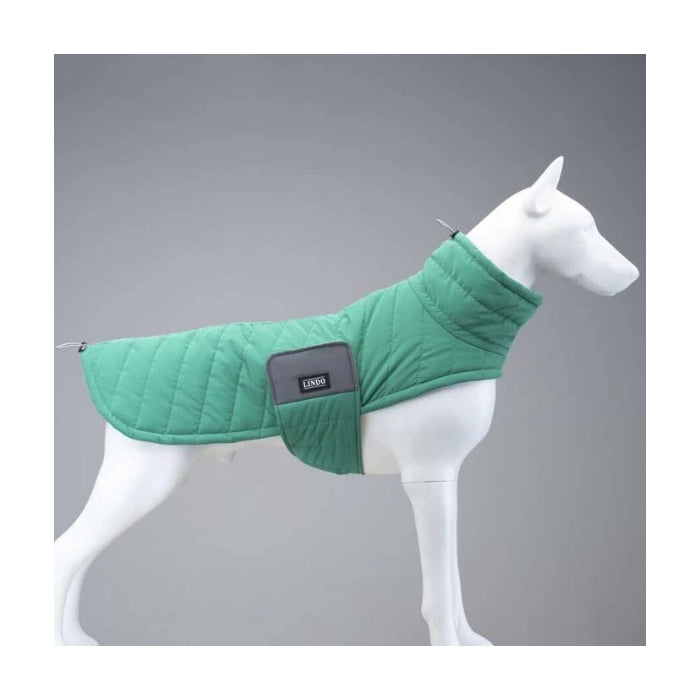 Lindo Air Puff Green Apple Köpek Montu Beden :6