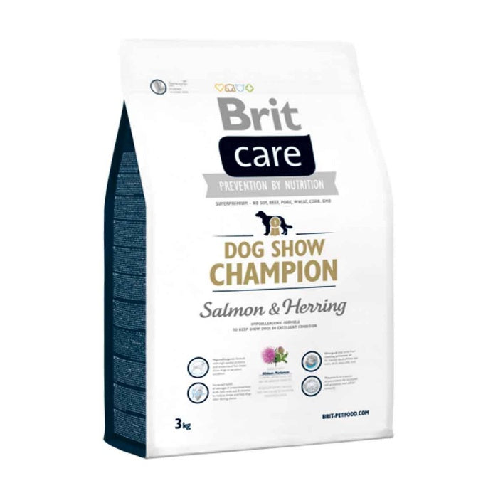 BRIT CARE DOG SHOW CHAMPION SOMON VE PİRİNÇ