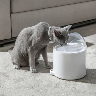 CATLINK Su Pınarı – Pure 2 UV, 2.6 Lt