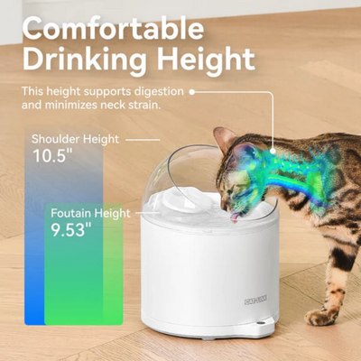 CATLINK Su Pınarı – Pure 2 UV, 2.6 Lt