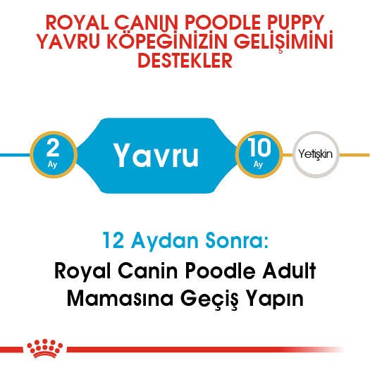 Royal Canin Poodle Junior 3 Kg Yavru Kuru Köpek Maması