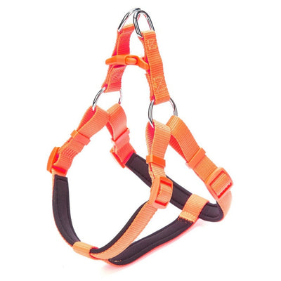 Doggie Konfor Dokuma Ronin Göğüs Tasması Turuncu 2X45-55Cm