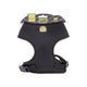 Doggie Havalı Dokumadan El Yapımı Küçük Irk Köpek Göğüs Tasması M-1,5x35-45cm - Black
