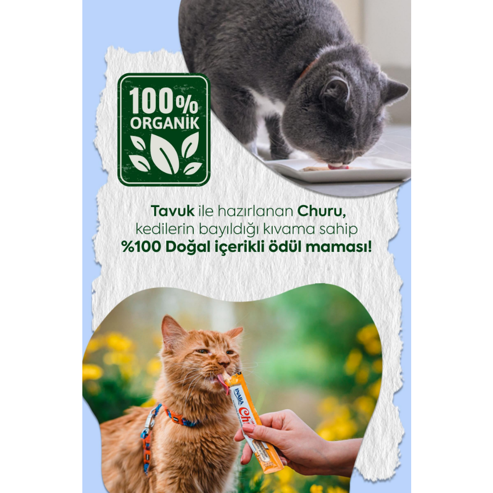 Inaba Ciao Churu Bisque Tavuklu Kedi Ödül Kreması 40 Gr
