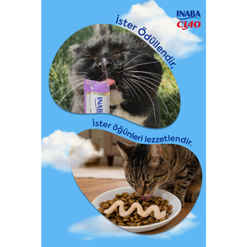 Inaba Ciao Churu Bisque Tavuklu Kedi Ödül Kreması 40 Gr