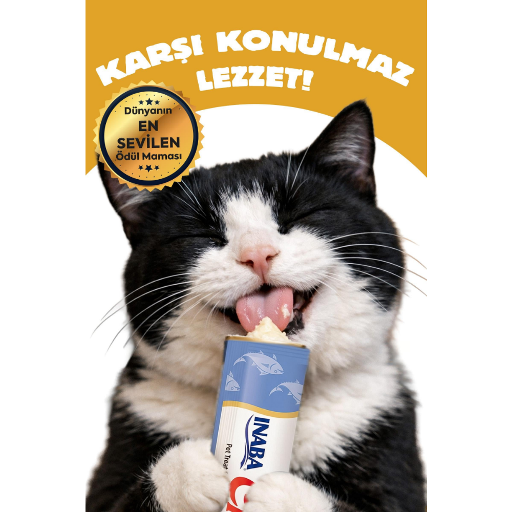 Inaba Ciao Dashi Delights Tavuklu Kedi Çorbası 70 Gr