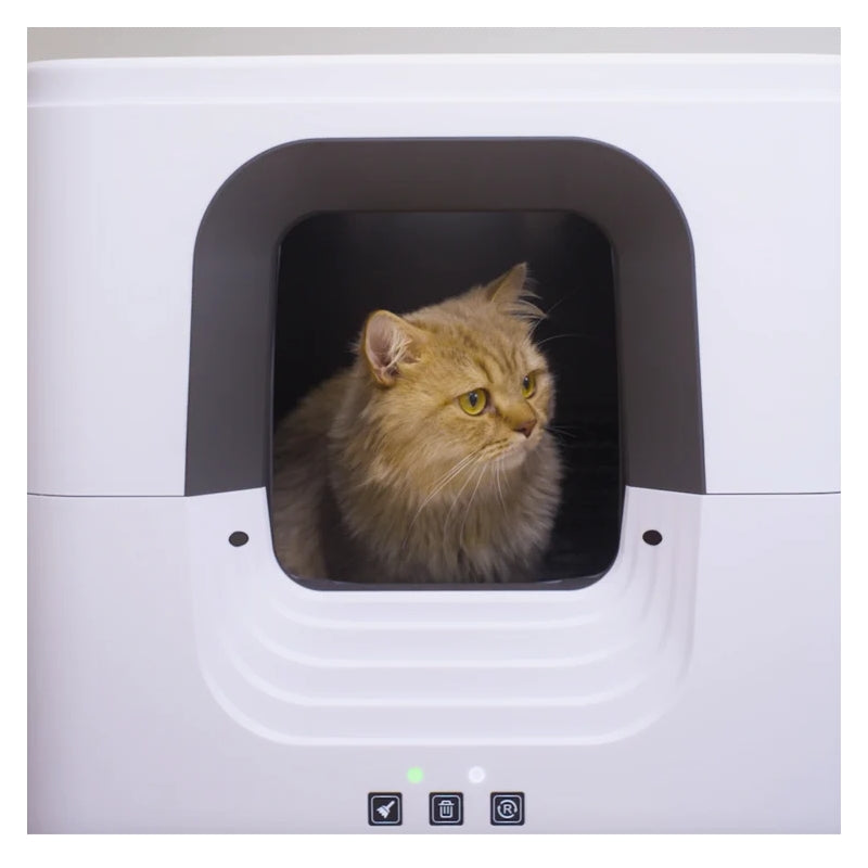 Aclium Otomatik Kedi Tuvaleti 55x57x65cm