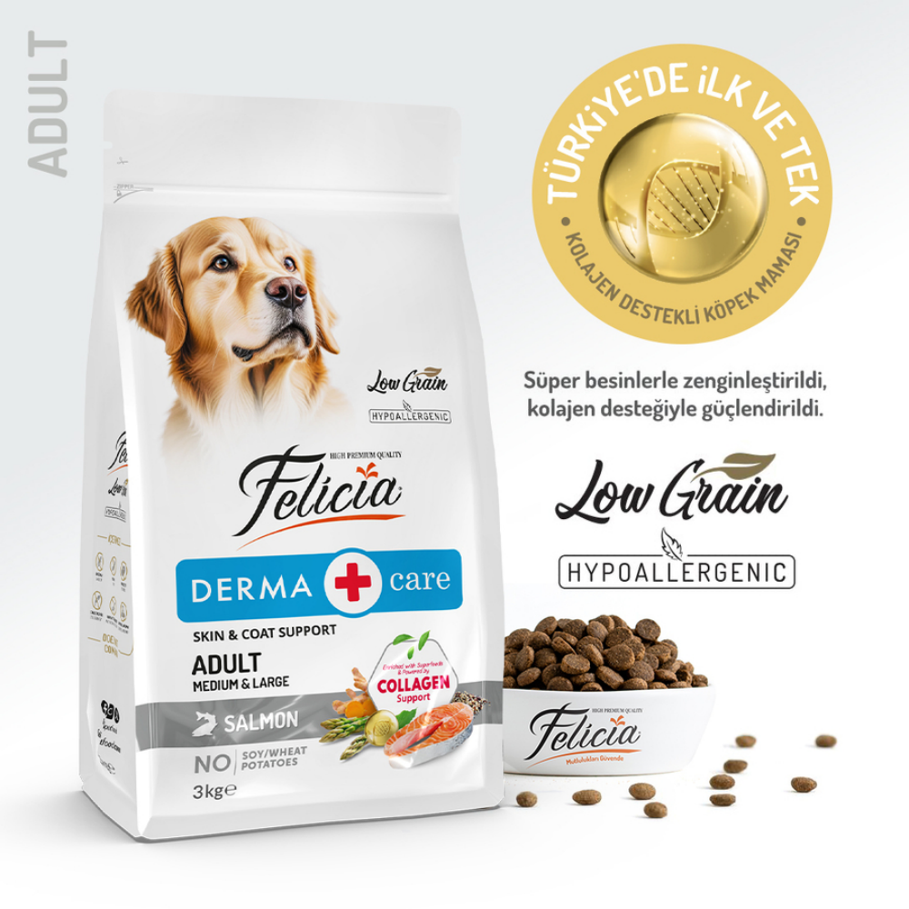 Felicia Az Tahıllı 3 Kg Yetişkin Somonlu M/Large Breed HypoAllergenic Köpek Maması