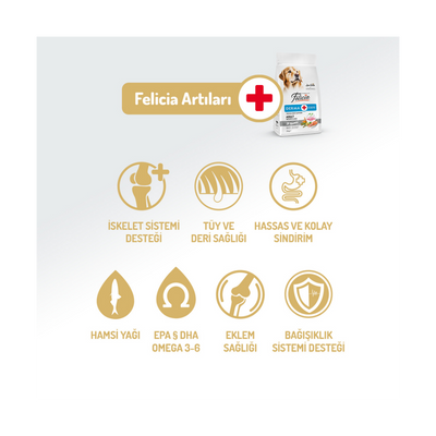 Felicia Az Tahıllı 3 Kg Yetişkin Somonlu M/Large Breed HypoAllergenic Köpek Maması