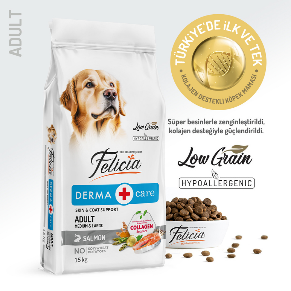 Felicia Az Tahıllı 15 Kg Yetişkin Somonlu M/Large Breed HypoAllergenic Köpek Maması