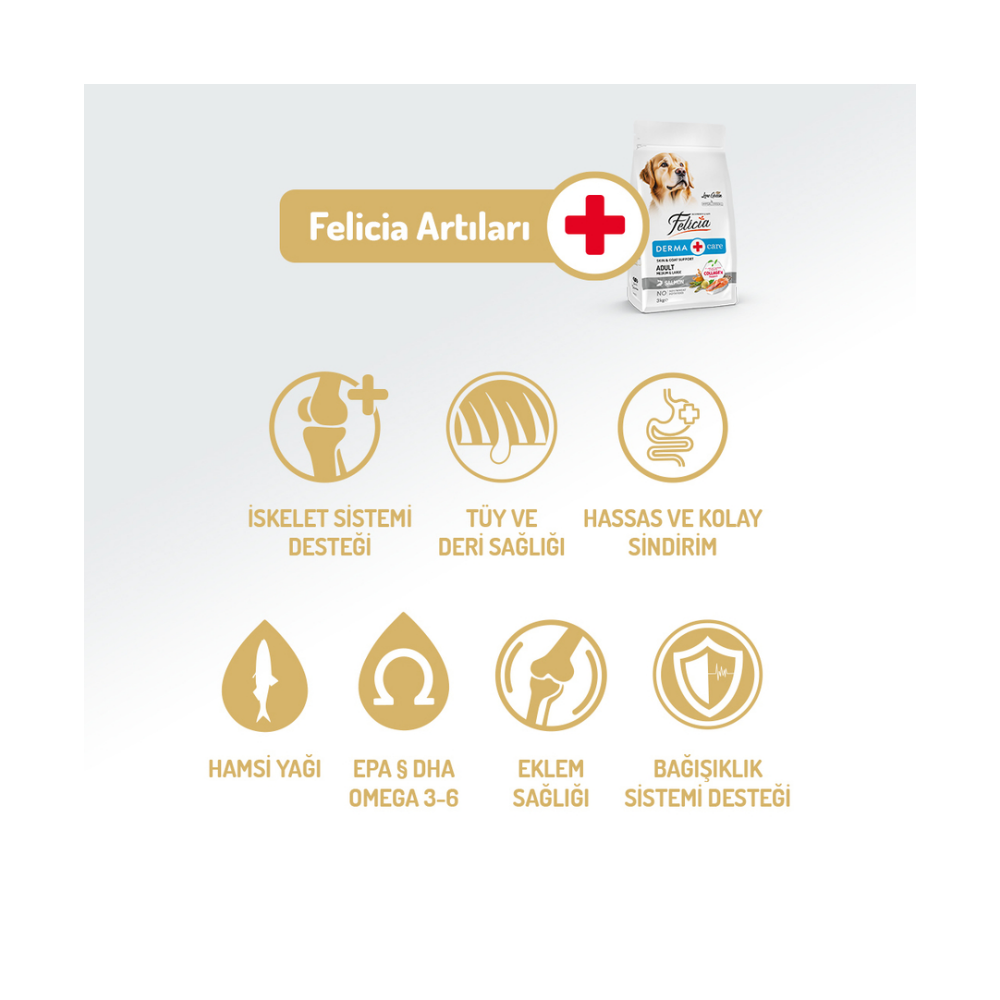 Felicia Az Tahıllı 15 Kg Yetişkin Somonlu M/Large Breed HypoAllergenic Köpek Maması