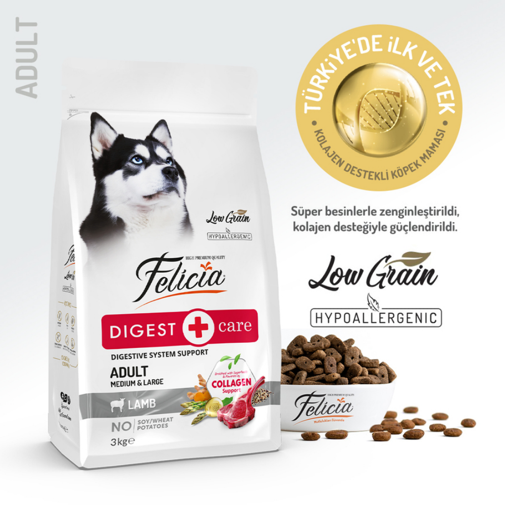 Felicia Az Tahıllı 3 Kg Yetişkin Kuzulu M/Large Breed HypoAllergenic Köpek Maması