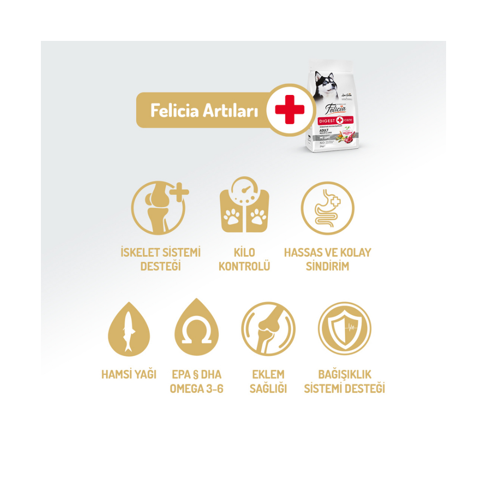 Felicia Az Tahıllı 15 Kg Yetişkin Kuzulu M/Large Breed HypoAllergenic Köpek Maması