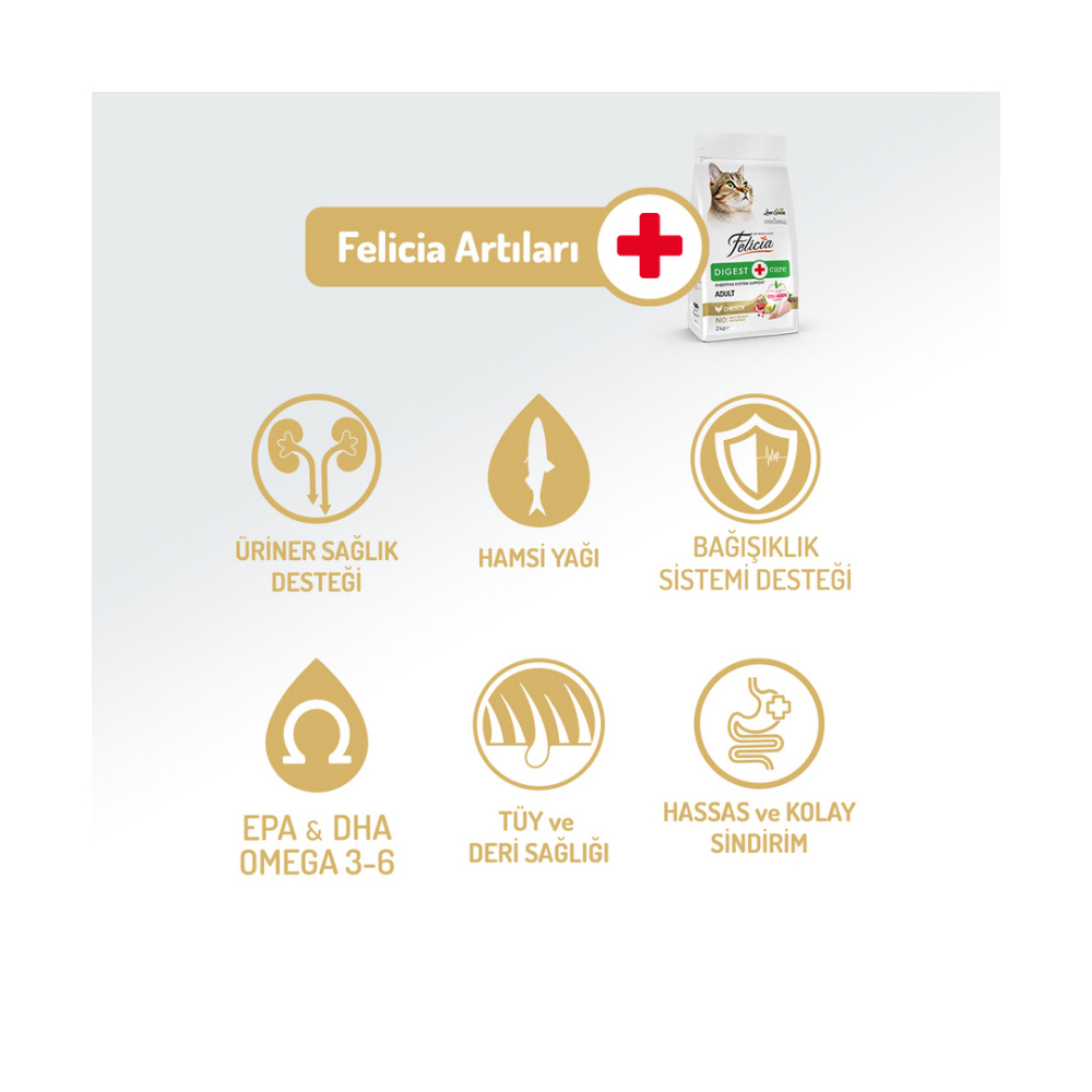 Felicia Az Tahıllı 2 Kg Yetişkin Tavuklu HypoAllergenic Kedi Maması