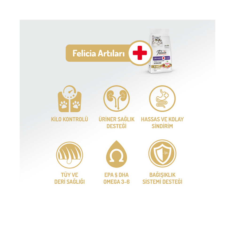 Felicia Az Tahıllı 12 Kg Sterilised Somonlu HypoAllergenic Kedi Maması