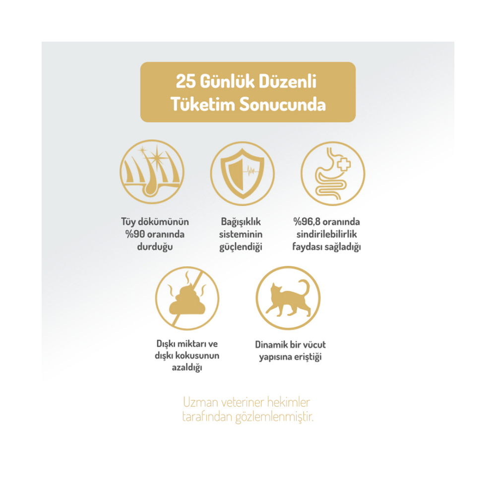 Felicia Az Tahıllı 2 Kg Sterilised Tavuklu HypoAllergenic Kedi Maması