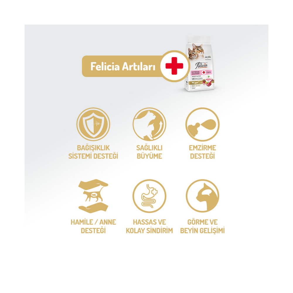Felicia Az Tahıllı 12 Kg Yavru Kuzu Etli HypoAllergenic Kedi Maması