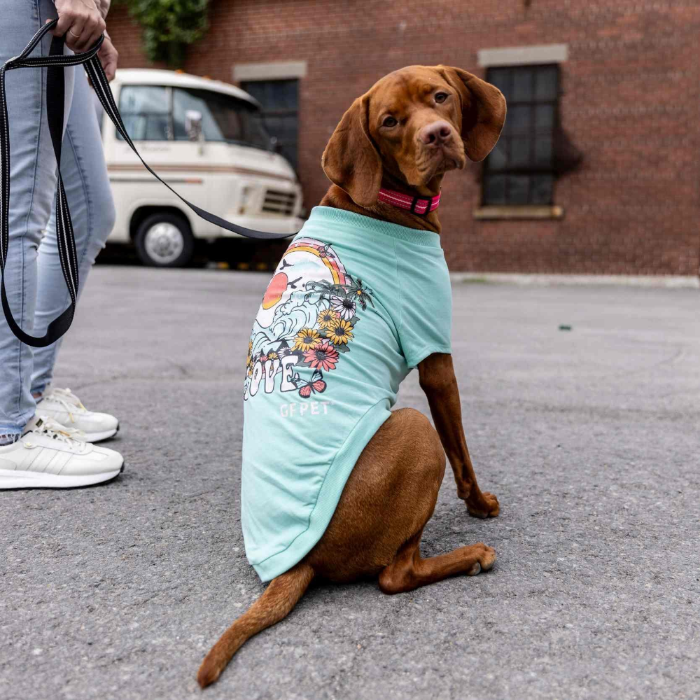 GF Pet Graphic Tee Köpek Tshirt - Aqua