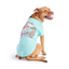 GF Pet Graphic Tee Köpek Tshirt - Aqua