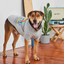 GF Pet Graphic Tee Köpek Tshirt - Gri