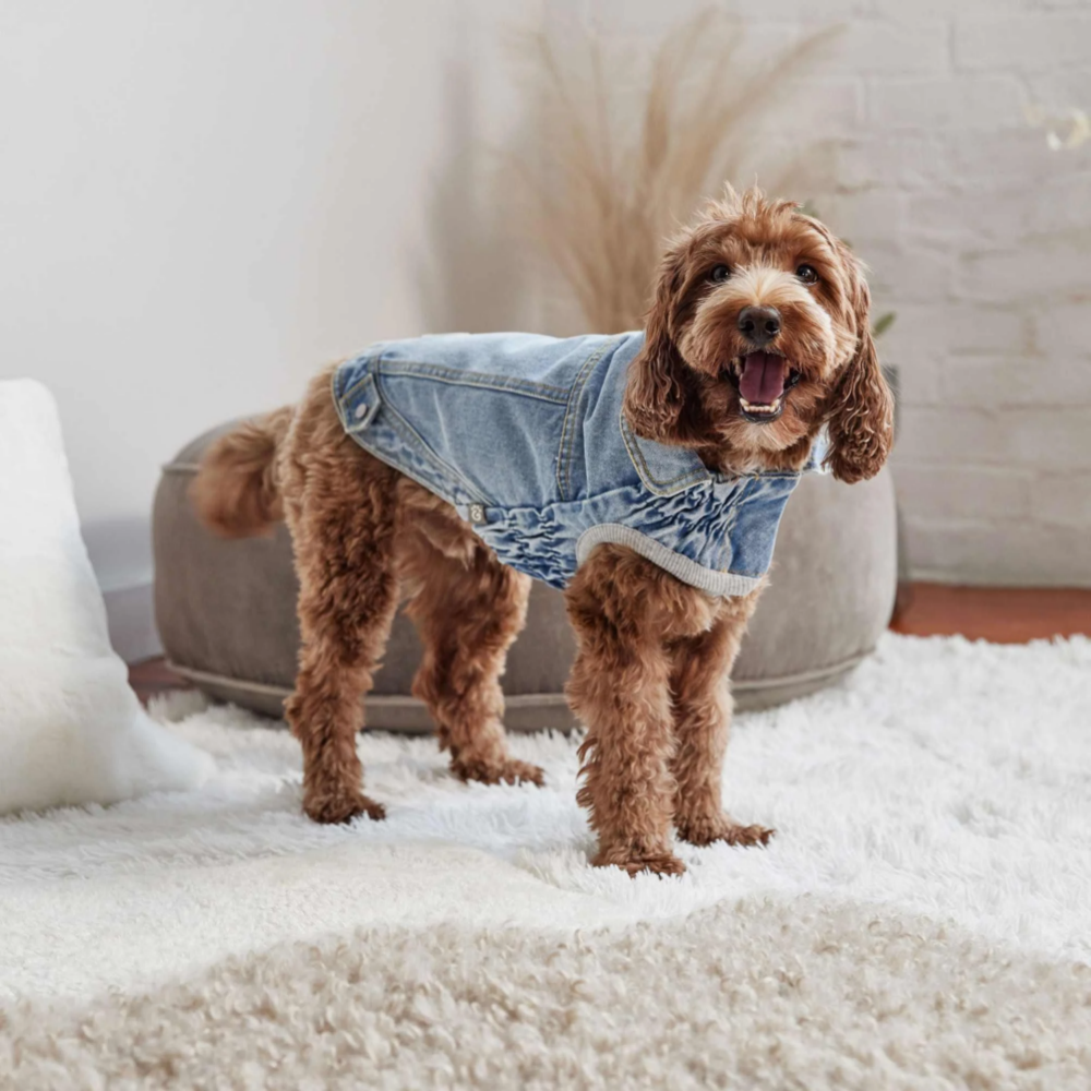 GF Pet 90's Köpek Kot Mont