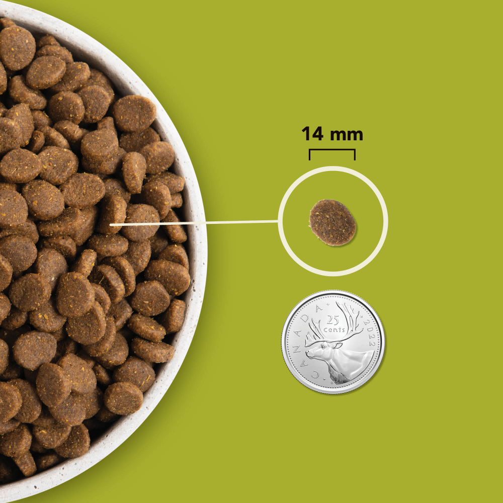 ACANA Regionals - Grasslands Köpek Maması 2 Kg - Tüm Irk Ve Yaşam Evreleri İçin