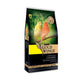 Gold Wings Premium Kanarya Yemi 1Kg